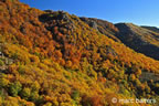 cevennes, automne, 2025,